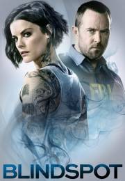 Blindspot (2015)